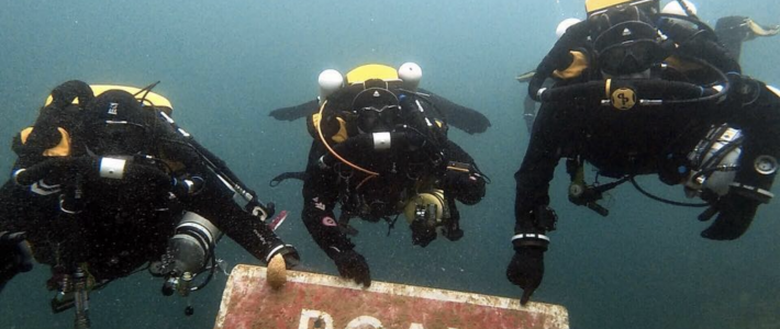 Nick and Baxter go CCR…