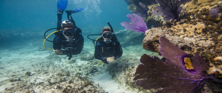 Diving Trip to Tolo in Greece, May 2020