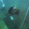 Last dive of 2019